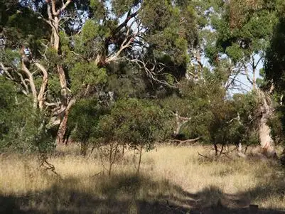 Lot 24 Braeside Road, Finniss SA 5255