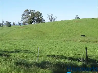 Fifth view of Homely rural property listing, Lot 3 McDougal Road, Neerim South VIC 3831