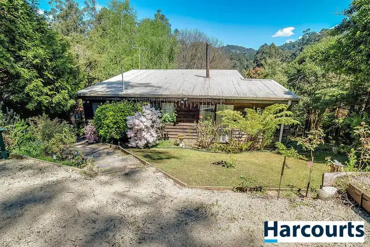 Main view of Homely house listing, 19 Menin Road, Monbulk VIC 3793