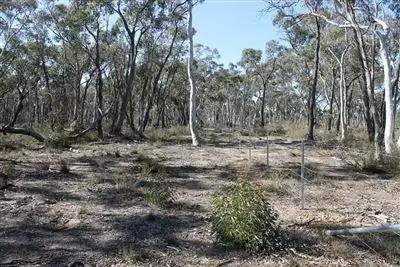 Seventh view of Homely rural property listing, L117, 120 Mayfield Road, Braidwood NSW 2622