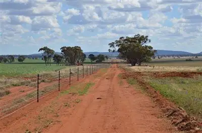 Fifth view of Homely rural property listing, * Currawalla, Condobolin NSW 2877