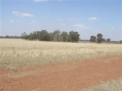 Fifth view of Homely rural property listing, 71 Williams Road, Grong Grong NSW 2652