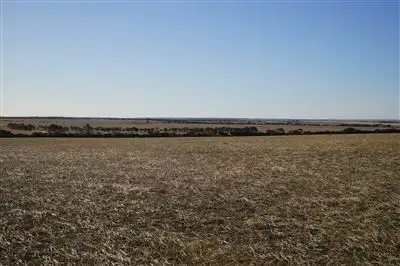 Sixth view of Homely rural property listing, Lot 27739 Burracoppin South Road, Muntadgin WA 6420