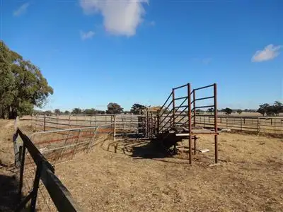 Second view of Homely rural property listing, 483 Nishs Road, Peechelba VIC 3678