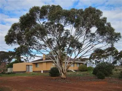Main view of Homely house listing, Lot 317 Toodyay Bindi-Bindi Road, Bolgart WA 6568