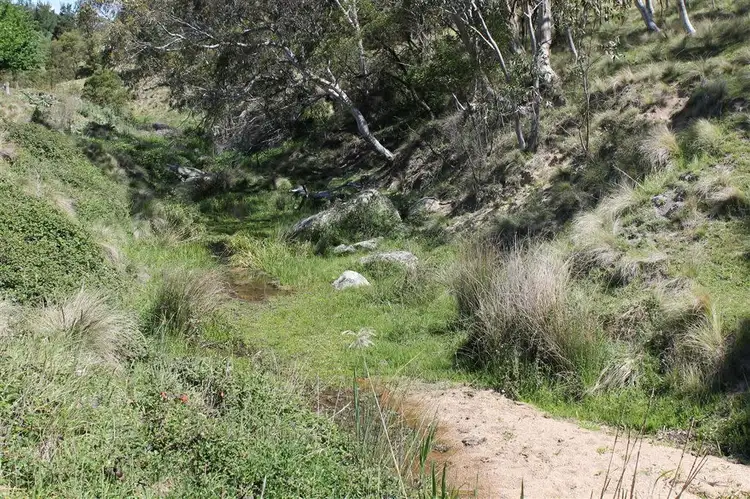 Fourth view of Homely rural property listing, Lot 94 off South Forest Way, Kindervale via, Braidwood NSW 2622