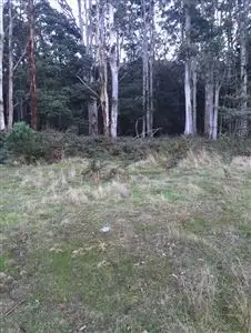 Fourth view of Homely rural property listing, . Alberton Road, Ringarooma TAS 7263