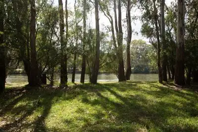 Fifth view of Homely rural property listing, Address available on request