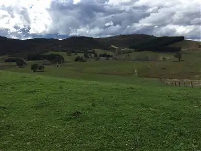Sixth view of Homely rural property listing, The Lenore 33 Montana Road, Peelwood NSW 2583