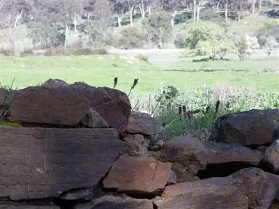 Sixth view of Homely rural property listing, 163 Creasys Road, Walmer VIC 3463