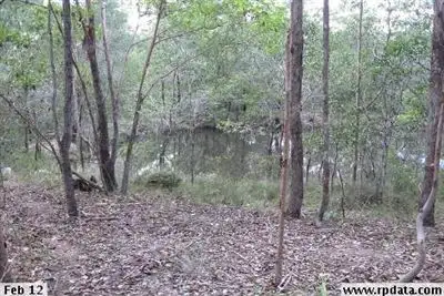 Second view of Homely house listing, 21 Pinkwood Street, Cedar Vale QLD 4285