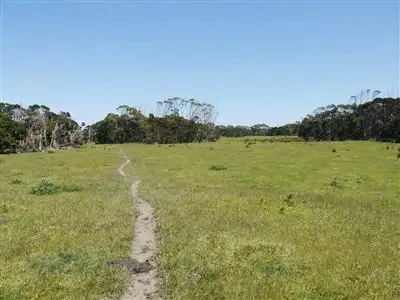 Fifth view of Homely rural property listing, 500 Millers Road, Lymwood TAS 7256