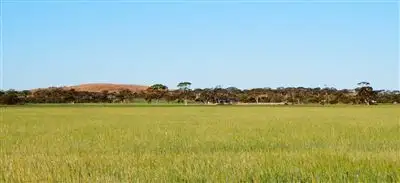 Fourth view of Homely rural property listing, 15353 Goldfields Road, Merredin WA 6415