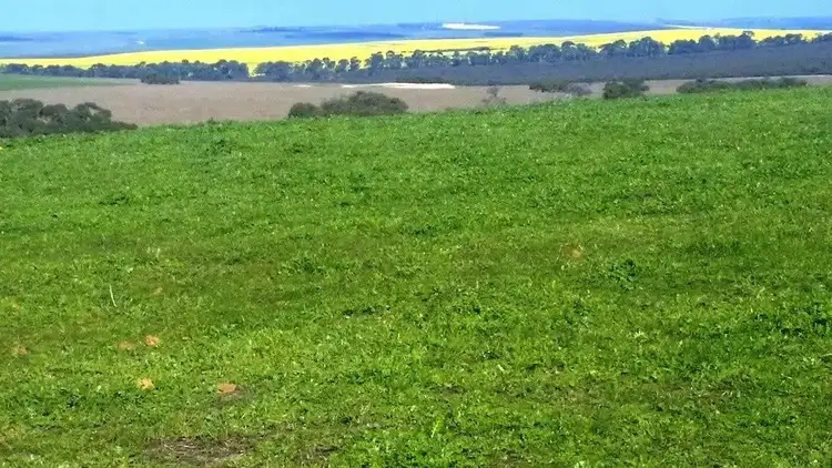 Sixth view of Homely rural property listing, 200 Bibby Road, Badgingarra WA 6521