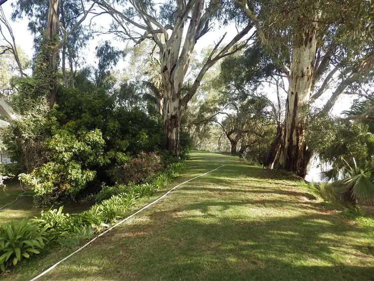 Sixth view of Homely rural property listing, 1256 Homestead, Renmark SA 5341