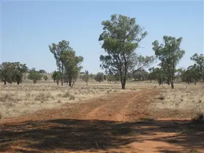 Third view of Homely rural property listing, . 'Peronne', Ungarie NSW 2669