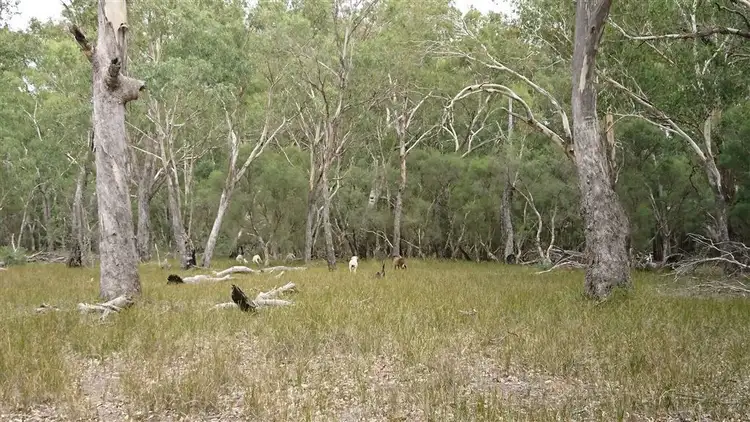 Fifth view of Homely rural property listing, 433 Hunter Road Orange Springs, Gingin WA 6503