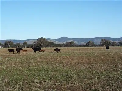 Third view of Homely rural property listing, 338 Benalla Warrenbayne Road, Baddaginnie VIC 3670