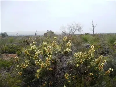 Fifth view of Homely land listing, 161 Wannamal West Road, Gingin WA 6503