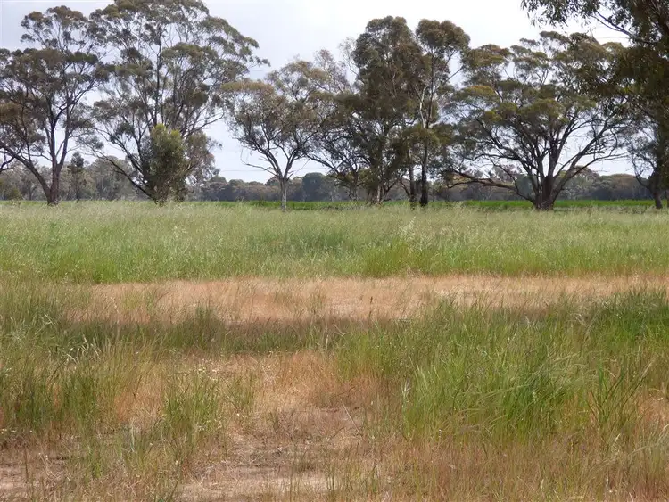 Seventh view of Homely rural property listing, Lot 2 Ti Tree Swamp Road, Glenorchy VIC 3385
