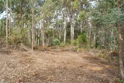 Fifth view of Homely rural property listing, 392 Wilmot Road, Forth TAS 7310