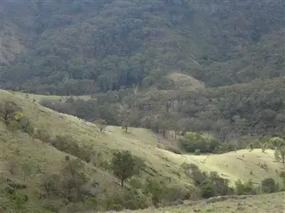 Main view of Homely rural property listing, 370 Minto Road, Yea VIC 3717