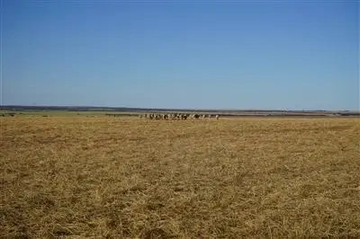 Second view of Homely rural property listing, Lot 27739 Burracoppin South Road, Muntadgin WA 6420