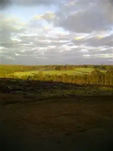 Second view of Homely rural property listing, 1511 NAYLOR YATES RD, Bridgetown WA 6255