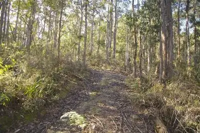 Sixth view of Homely land listing, - Judds Creek Road, Judbury TAS 7109