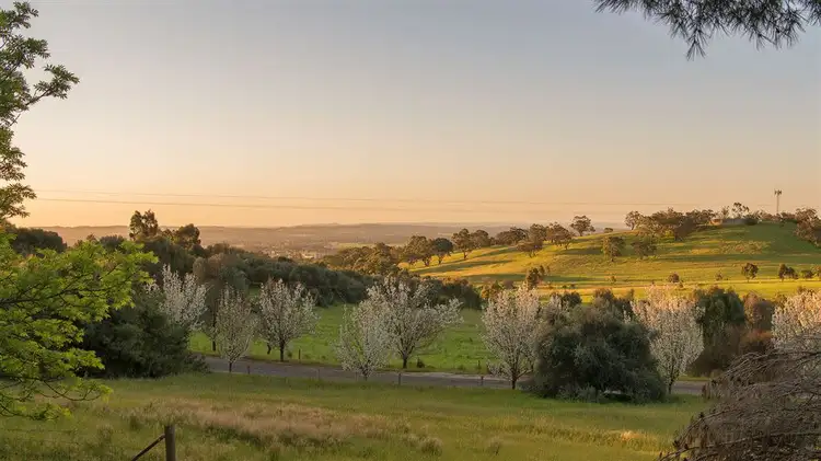 Fifth view of Homely rural property listing, 193 valley road, Angaston SA 5353