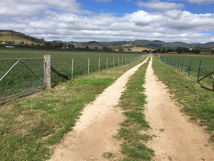 Sixth view of Homely rural property listing, 931 'Mullamuddy Farm' Castlereagh Highway, Mudgee NSW 2850