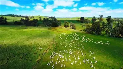 Fourth view of Homely rural property listing, 54 Lawrence Lane 'Warrawee', Bowning NSW 2582