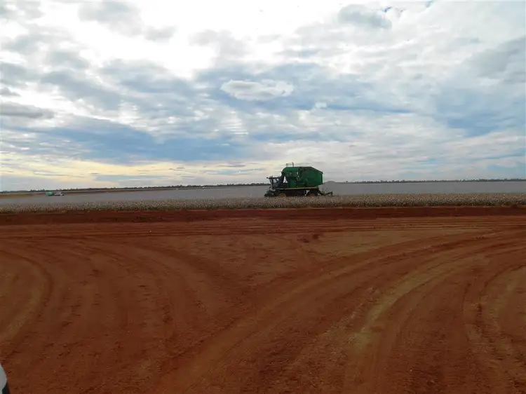 Lot 1 Roto Road, Hillston NSW 2675
