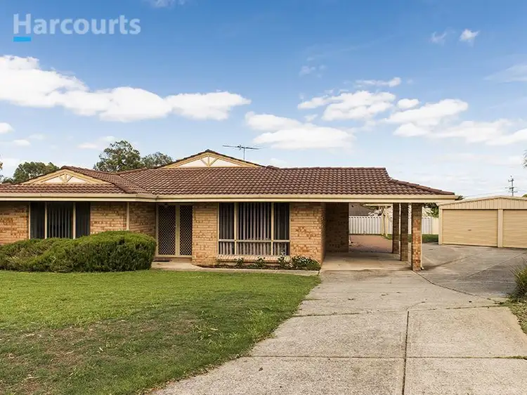 Third view of Homely house listing, 11 Lupin Court, Hocking WA 6065