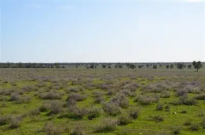 Sixth view of Homely rural property listing, * Kallara, Nyngan NSW 2825