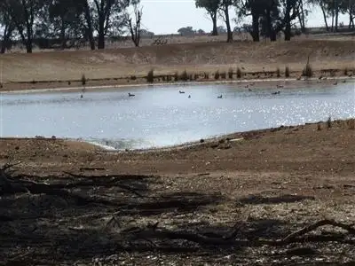 Fourth view of Homely rural property listing, 71 Williams Road, Grong Grong NSW 2652