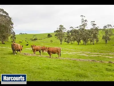 Third view of Homely rural property listing, 195 Sheffield Road, Neerim South VIC 3831