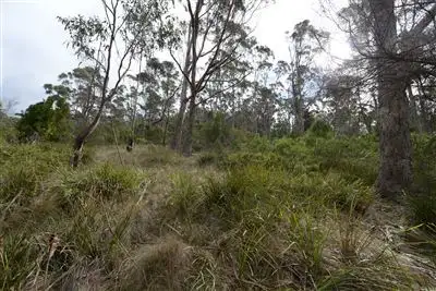 Sixth view of Homely land listing, 323A Tinderbox Road, Tinderbox TAS 7054