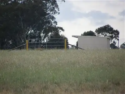 Fifth view of Homely rural property listing, 1792 Bendigo-Pyramid Road, Raywood VIC 3570