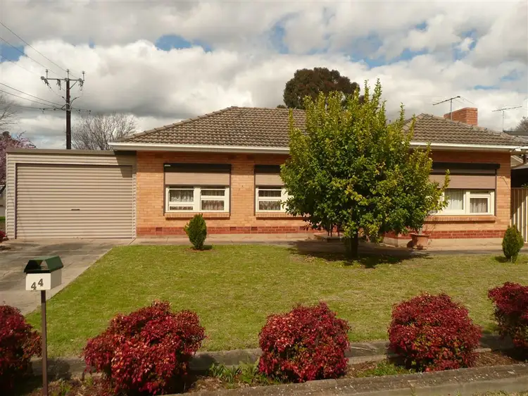 Main view of Homely house listing, 44 Hancock Avenue, Campbelltown SA 5074
