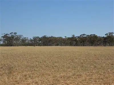 Third view of Homely rural property listing, Address available on request