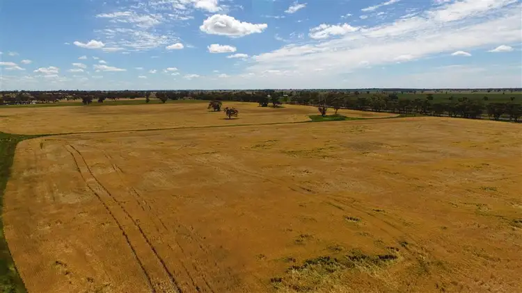 Fourth view of Homely rural property listing, 2481 Natimuk- Frances Road, Gymbowen VIC 3401