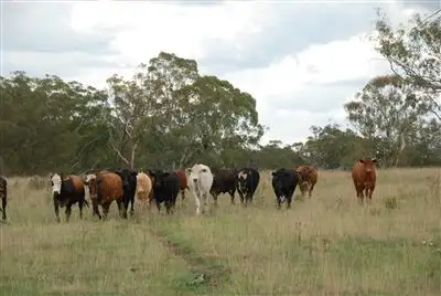 Second view of Homely rural property listing, Address available on request