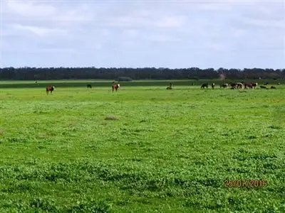 Fifth view of Homely rural property listing, * Koree, Cobar NSW 2835