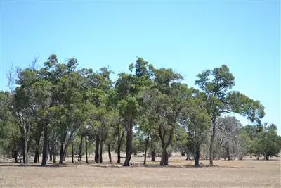 Third view of Homely land listing, Address available on request