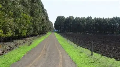 Fourth view of Homely rural property listing, . Oaks Road, Bracknell TAS 7302