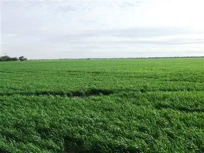 Fourth view of Homely rural property listing, Address available on request