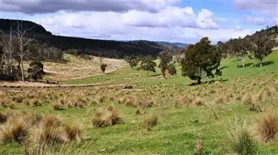 740 Honeysuckle Road, Ross TAS 7209