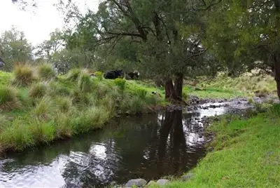 Main view of Homely rural property listing, . Pages River Rd "Singles Creek", Murrurundi NSW 2338