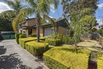 Main view of Homely house listing, 41 Crow Street, Burwood East VIC 3151